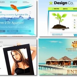 Capital Free Flash Website Templates For Download