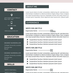 Sterling Resume Template Modern Professional