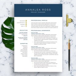 Cool Modern Resume Template For Word Creative Templates