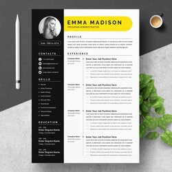 Sublime Clean Modern Resume Template Word Templates Creative Market Administrator Programmer