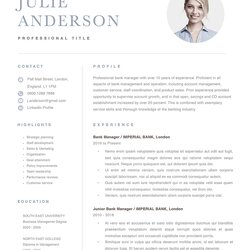 Exceptional Modern Resume Template Color Blue Resumes