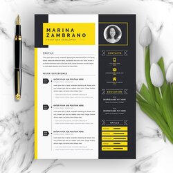 High Quality Best Contemporary New Styles Resume Templates For Template Modern Clean Minimalist Word