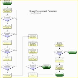 The Highest Standard Word Flowchart Template Free Of Flow Chart For Ms Microsoft Office