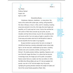 Sterling Style Outline Format Research Paper Examples