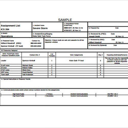 Great Free Sample Incident Action Plan Templates In Ms Word Template