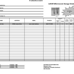 Fundraiser Template Excel Order Form Templates Fundraisers Report Board School Choose