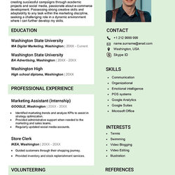 The Highest Standard Curriculum Vitae Template Writing Guide Free Download