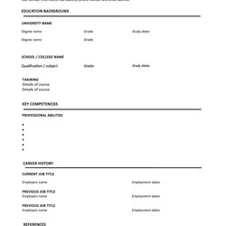 Exceptional Great Curriculum Vitae Templates Examples Template