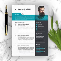 Admirable Free Resume Templates With Multiple File Formats Template Curriculum Vitae Creative Modern Word