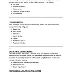 Outstanding Great Curriculum Vitae Templates Examples Template