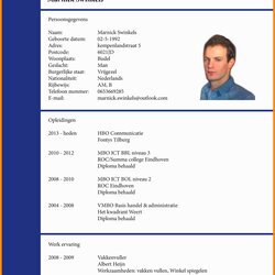 Free Curriculum Vitae Template Word Of Great Examples