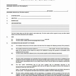 Preeminent Contract Of Employment Template New Sample