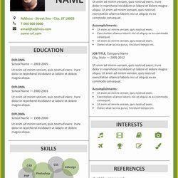 Two Column Resume Template Word Free Of Templates Modern Border Fitzroy Sample Ms Examples Microsoft