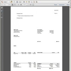 Preeminent Pay Stub Template High