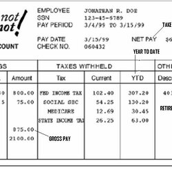 Worthy Pay Stub Template Business Paycheck Fake Check Format Stubs Payroll