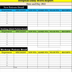 Admirable Daily Work Report Template Free Templates Hospital