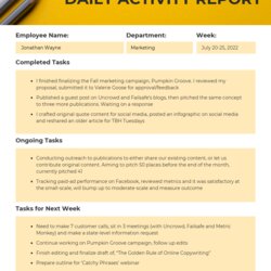 Legit Essential Business Report Templates Daily Employee Template Activity Reporting Communication Work