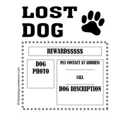 Outstanding Lost Pet Flyers Missing Cat Dog Poster Template Flyer Kb