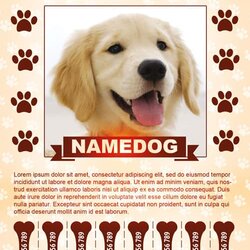 Wizard Lost Dog Free Flyer Template Download For Poster Pet Templates Wallpaper Com