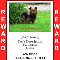 Superlative Printable Lost Dog Poster Template Templates