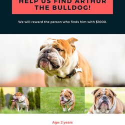 Out Of This World Free Printable Lost Dog Flyer Templates Flyers Blue And Red Simple Photo Grid