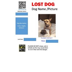 Eminent Lost Pet Flyers Missing Cat Dog Poster Flyer Template Kb