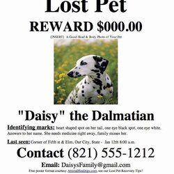 Capital Lost Dog Flyers Template Inspirational Missing Poster