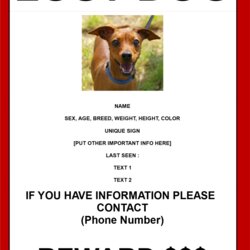 Lost Dog Flyer Template Best Ideas January Find Poster In Size Templates At Inside