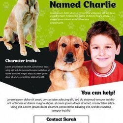 Worthy Lost Dog Flyer Template Pet Flyers