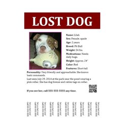 Wonderful Lost Pet Flyers Missing Cat Dog Poster Flyer Template Kb