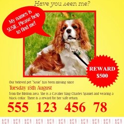 Smashing Lost Dog Flyers Template Luxury Pet Flyer With Tabs Of