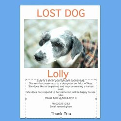 Fine Lost Dog Flyers Template Fresh Flyer Printable