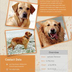Splendid Lost Dog Flyer Templates Pet Poster Template Adoption Missing Flyers Pets Word Puppies Printable