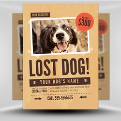 Sublime Lost Dog Flyer Template Store