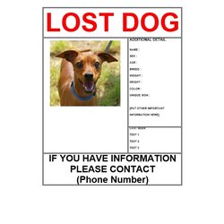 Cool Lost Pet Flyers Missing Cat Dog Poster Flyer Template Kb