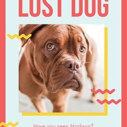 Supreme Free Printable Lost Dog Flyer Templates Flyers Playful Red And Yellow