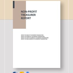 Treasurer Report Template Free Sample Example Format Download Profit Non Templates