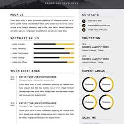 Marvelous Modern Resume Word Template Ms Classic