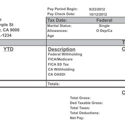 Brilliant Pay Stub Template Free Printable Paycheck Stubs