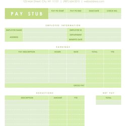 Peerless Best Free Printable Blank Paycheck Stubs For At Stub Pay Template