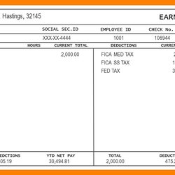Magnificent Printable Pay Stub Templates In Word Format Template Check Stubs Employee Excel Sample Example