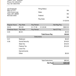 Champion Blank Free Printable Pay Stub Template Templates Resume Examples Payroll Stubs Downloads Check