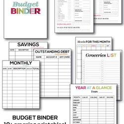 Free Printable Budget Savvy Boss Binder Ledger Budgeting Ramsey Expense Thirty Finances Tracker Sheet Debt