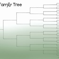 Eminent Generation Family Tree Template Fresh Resources Of