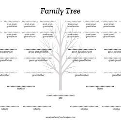 Family Tree Template Generations Generation Siblings