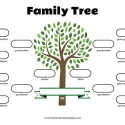 Generation Family Tree Template Free Templates Four Color