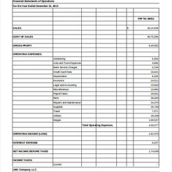Superb Financial Statement Free Word Format Template Company Templates Sample Business