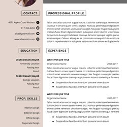 Champion Microsoft Word Modern Resume Templates Fantastic Download Functional Template High