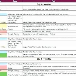 Great Social Media Plan Template Excel Awesome Campaign Schedule