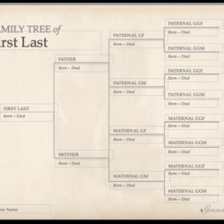 Admirable Family Tree Template Chart Free Printable Genealogy Templates History Charts Forms Editable Tips